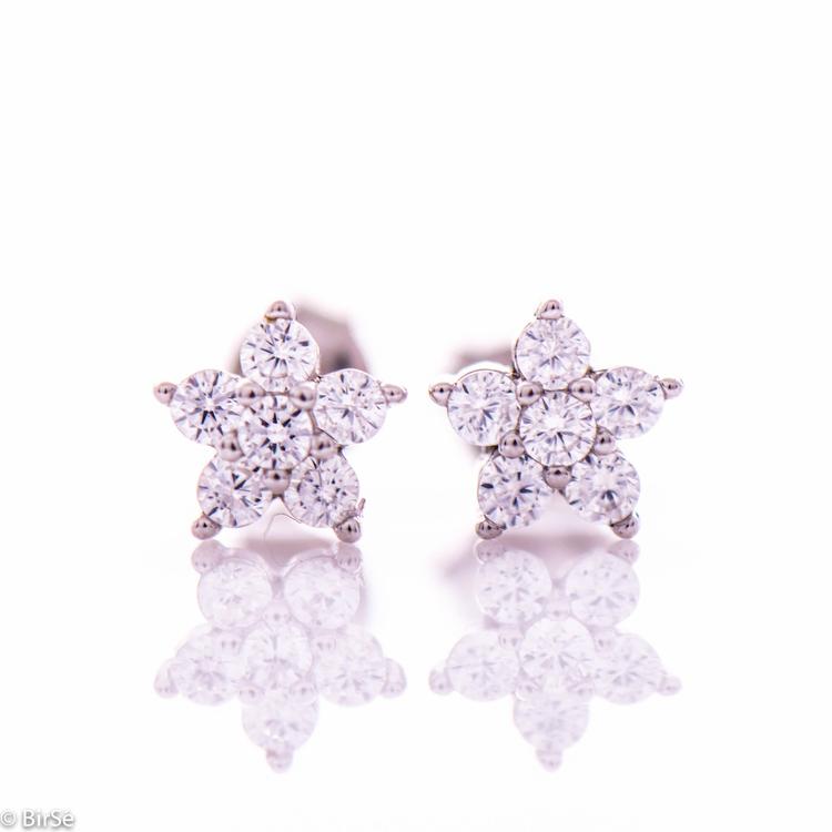 Silver earrings - Stars