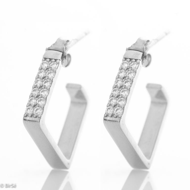 Silver earrings - Exquisite