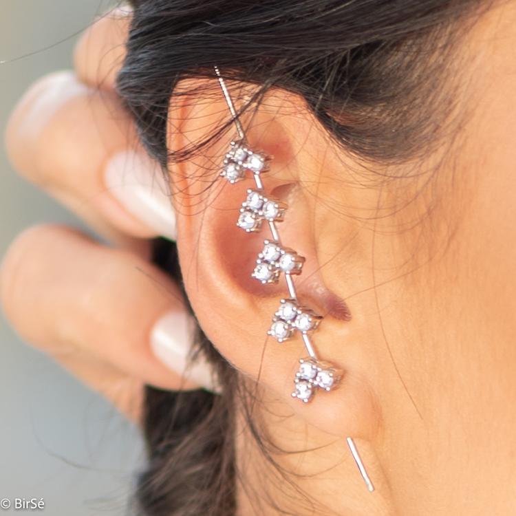 Silver earrings - Amazing