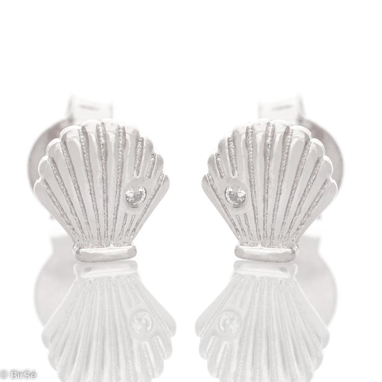 Silver earrings - Clamshell