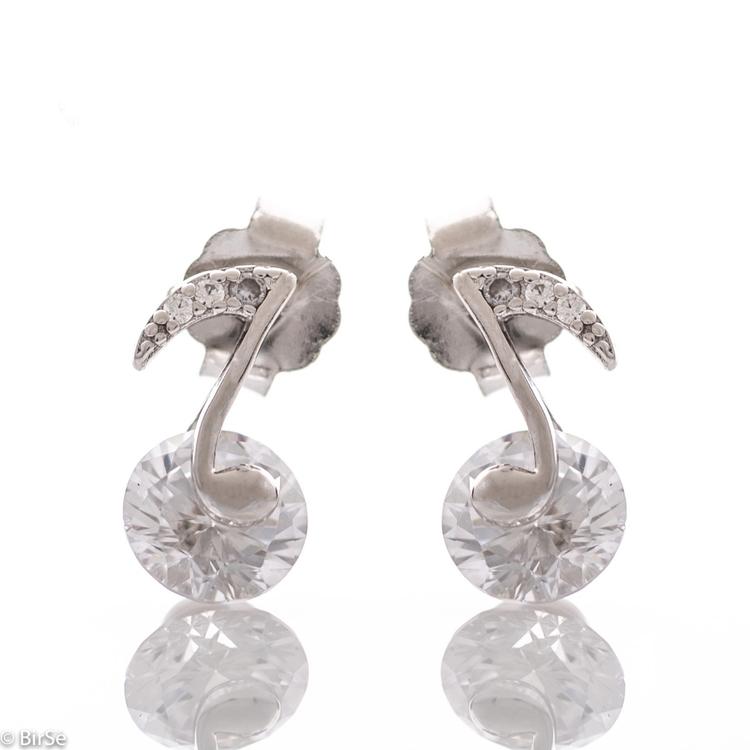 Silver earrings - Notes