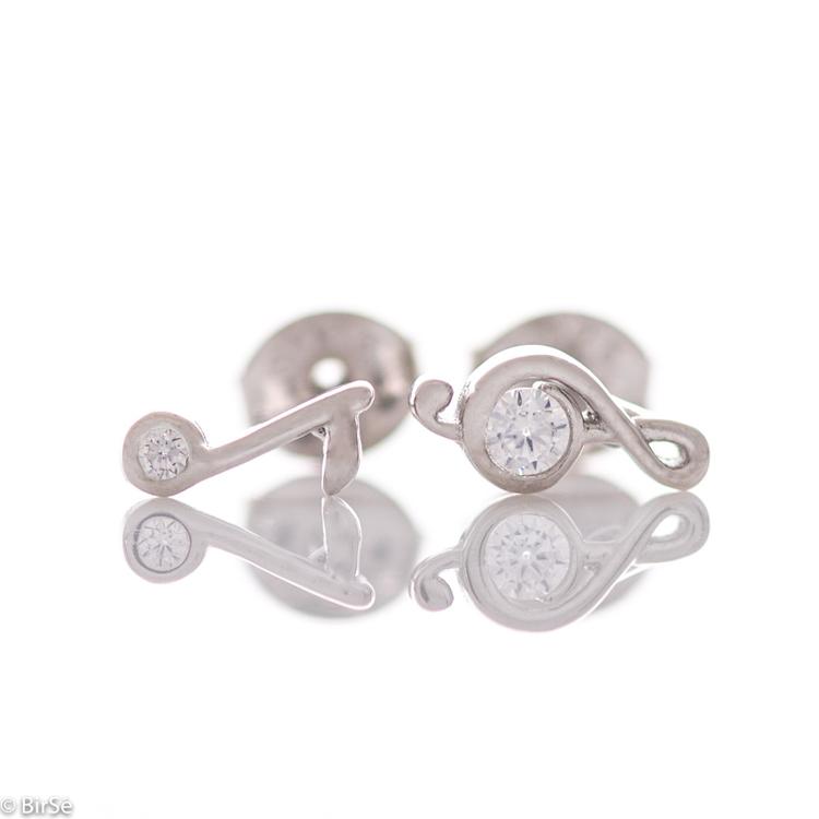 Silver earrings - Notes