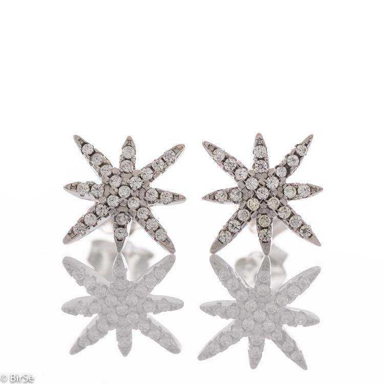 Silver earrings - Stars