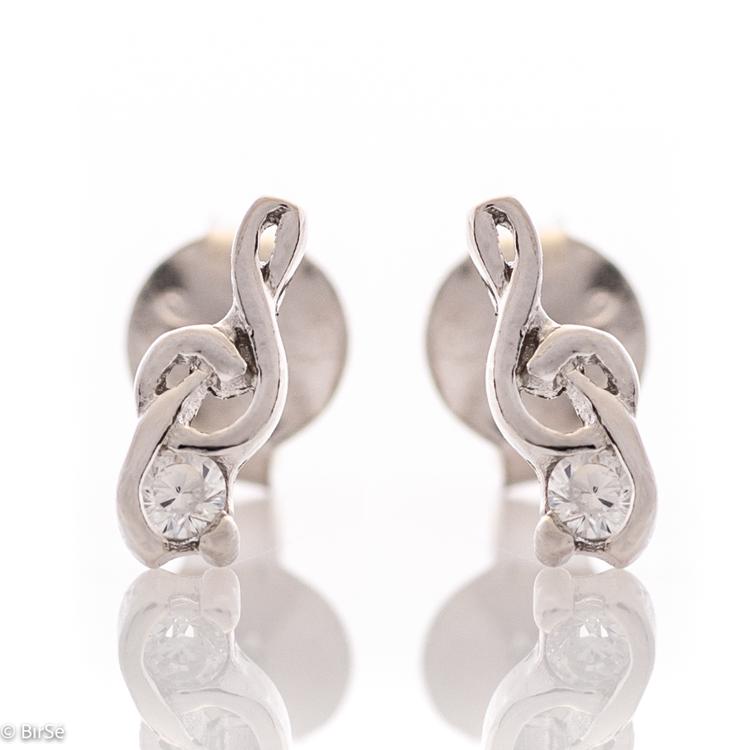 Silver earrings - Notes