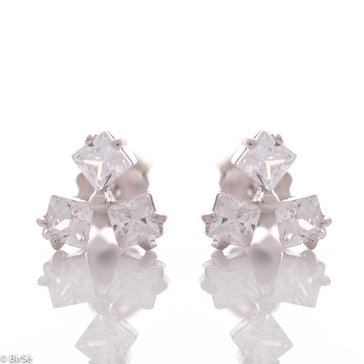 Silver earrings - Elegant 