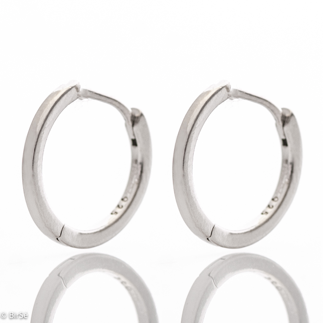 Silver earrings - Small rings