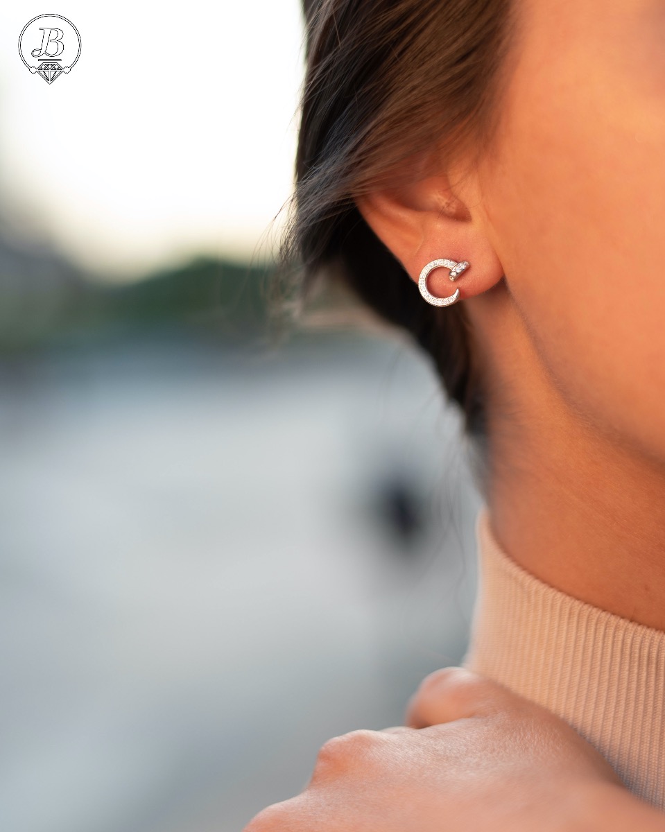 Silver earrings - Nails