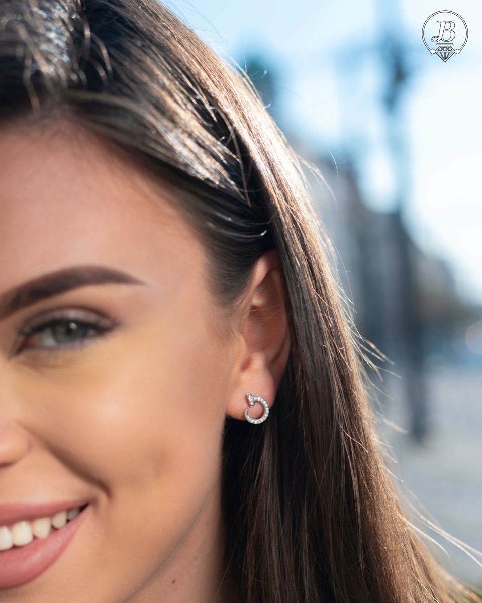 Silver earrings - Nails