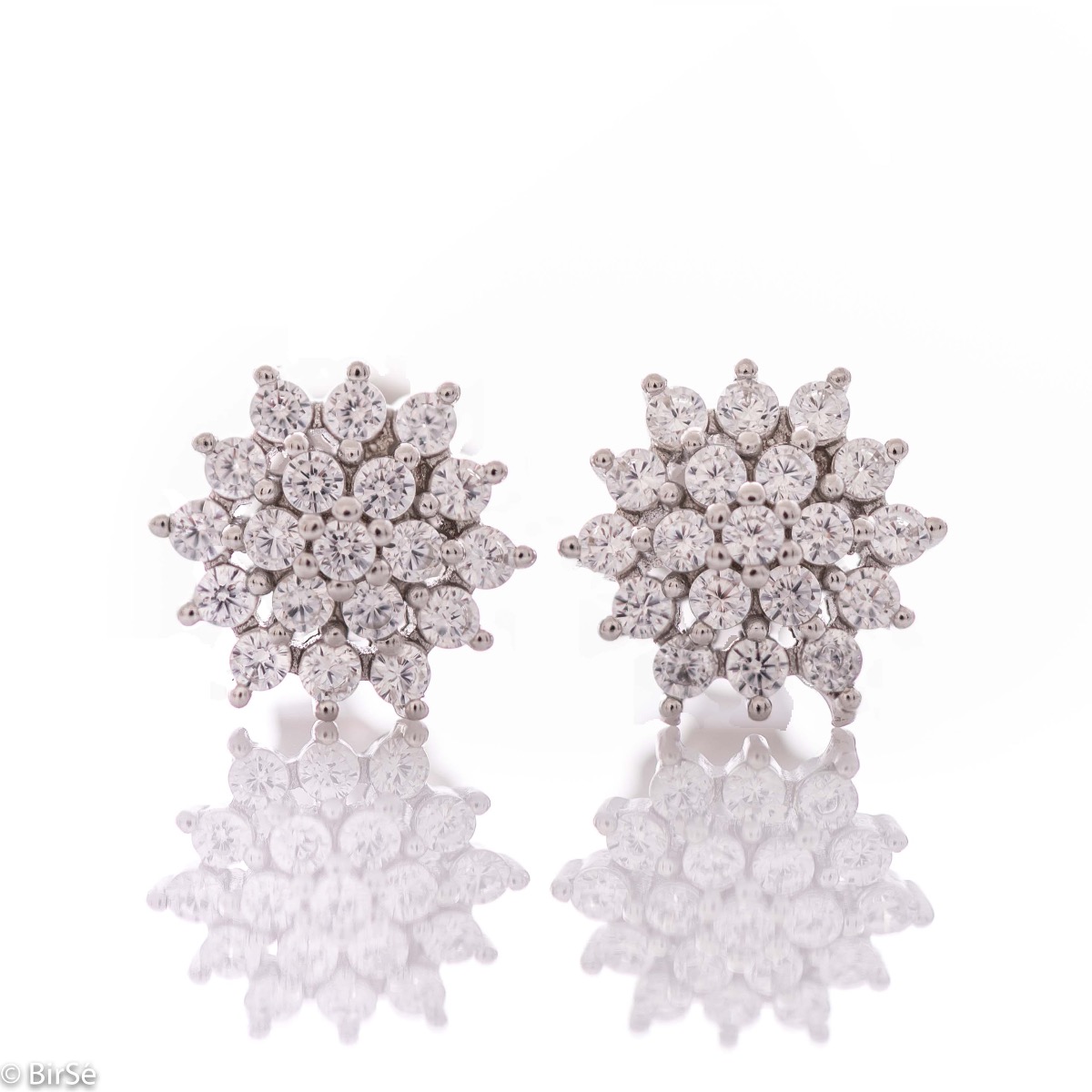 Silver Earrings with Elegant Design