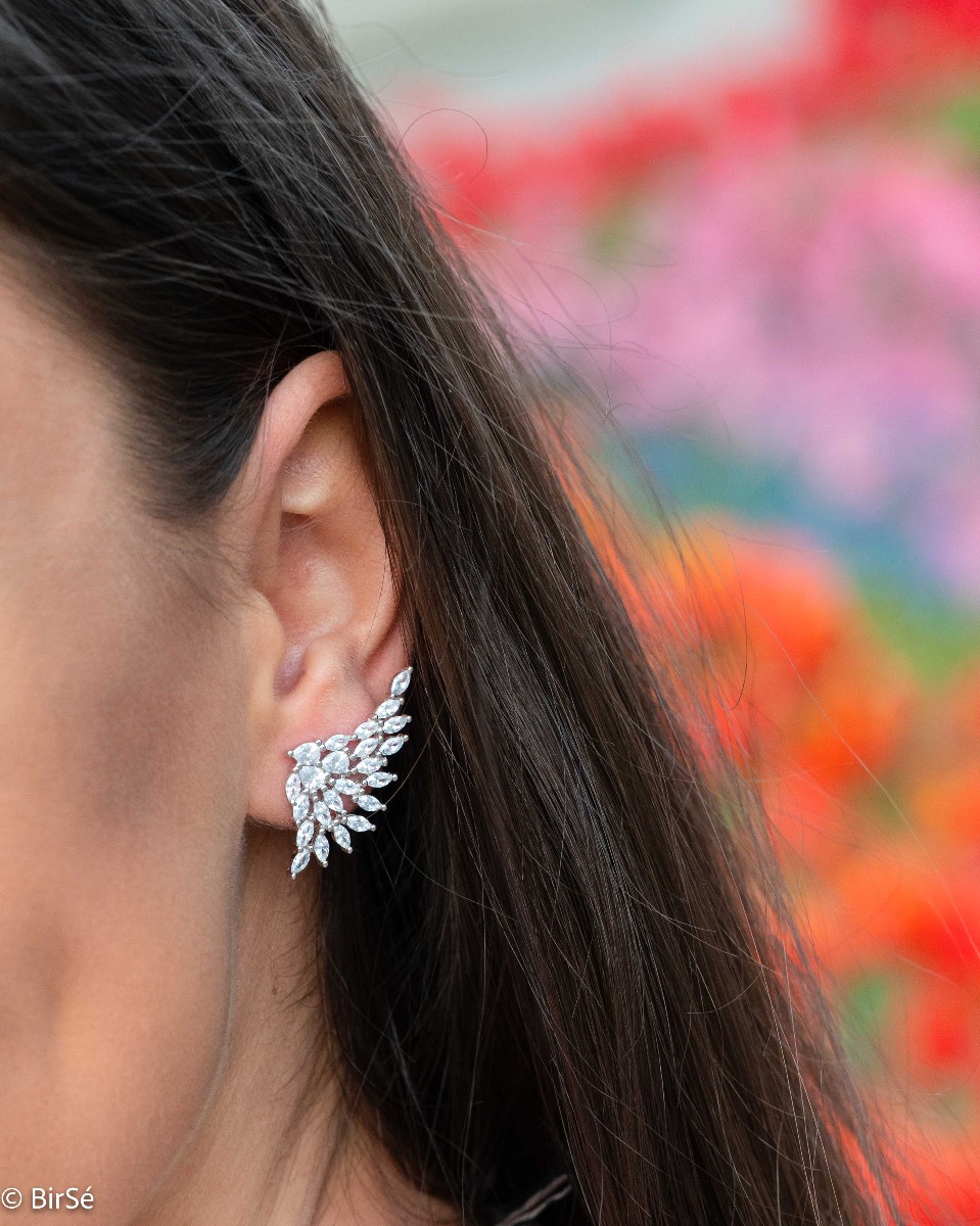 Silver earrings - Fan