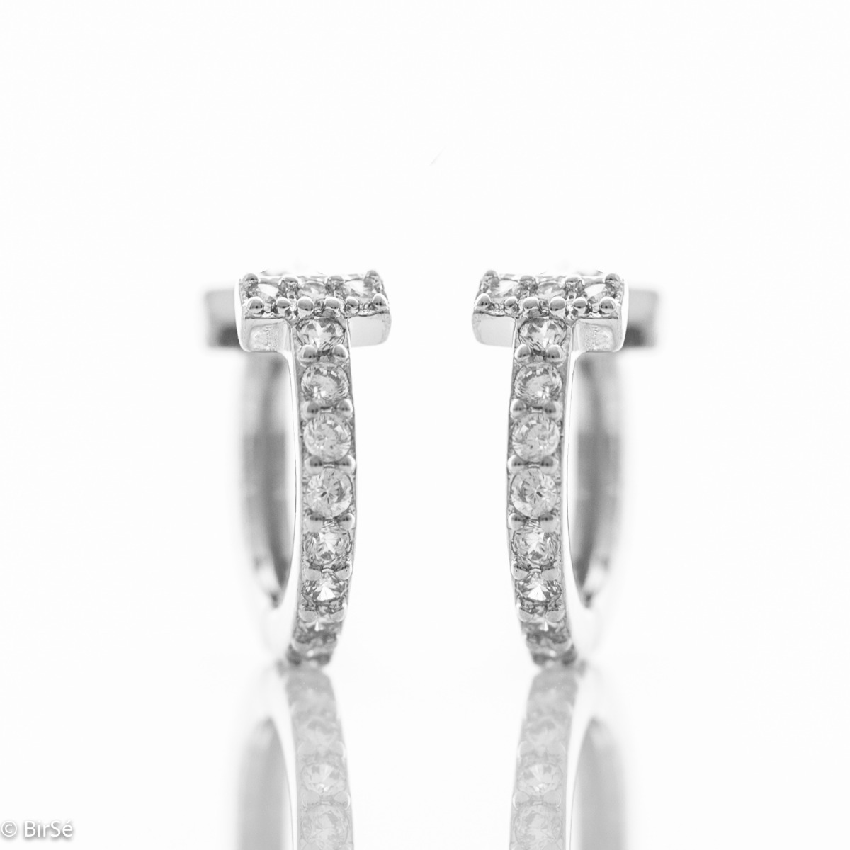 Silver earrings - Rings T